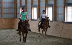 Horse Class Horse Riding Image