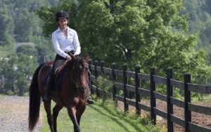 Horse Class Horse Riding Image