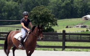 Horse Class Horse Riding Image