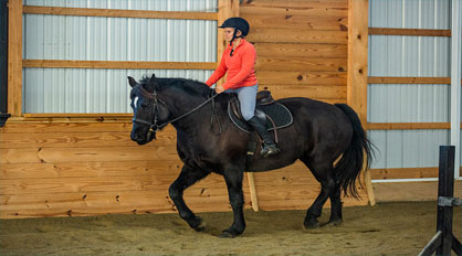 Honey Brook Stables - HorseClass - Honey Brook Stables LLC Farm...