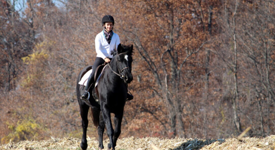 The Comfort, Stretch and Panic Model, Made Simple - Horse Riding With  Confidence